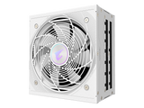 Gigabyte AORUS 1000W 80+ Platinum ICE — 2