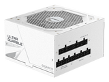 Gigabyte UD 750W 80+ Gold ICE — 4