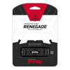 Kingston FURY Renegade 1TB PCIe 4.0 NVMe — 4