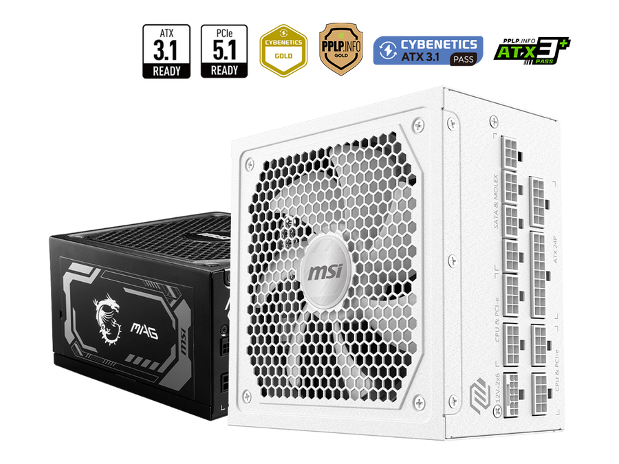 MSI MAG 1000W 80+ Gold (A1000GL PCIE5) — 1