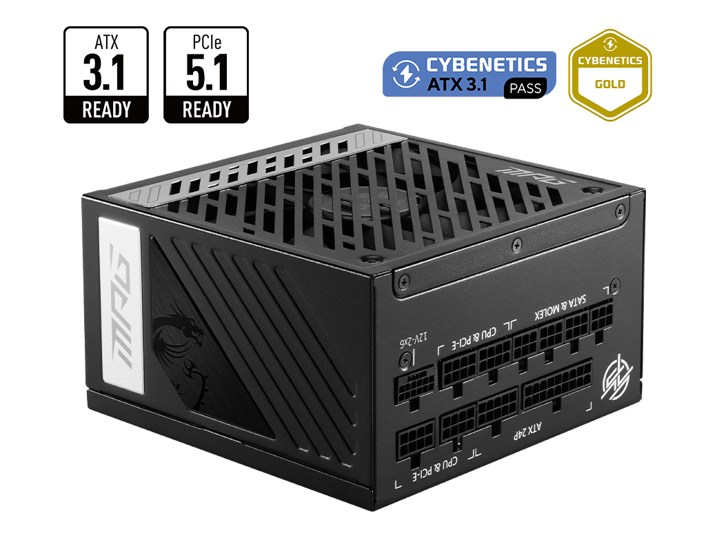 MSI MPG 1000W 80+ Gold (A1000G PCIE5) — 1