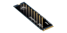 MSI SPATIUM M450 500GB PCIe 4.0 NVMe — 2