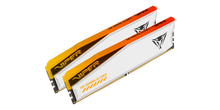 Patriot Viper Elite 5 RGB TUF Gaming Alliance 32GB (2x16GB) DDR5-6600 CL34 — 4