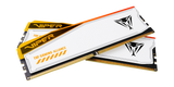 Patriot Viper Elite 5 RGB TUF Gaming Alliance 48GB (2x24GB) DDR5-6600 CL34 — 3