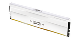 Silicon Power XPOWER Zenith 32GB (2x16GB) DDR5-6000 CL36 White (SP032GXLWU60FFDG) — 2