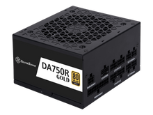 SilverStone Decathlon 750W 80+ Gold (DA750R-GM) — 1
