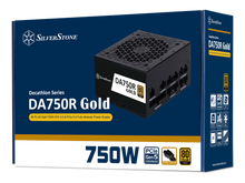 SilverStone Decathlon 750W 80+ Gold (DA750R-GM) — 2