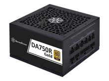 SilverStone Decathlon 750W 80+ Gold (DA750R-GMA) — 2